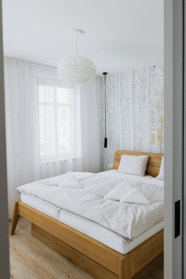 U Zlate Brizy Krusne Hory - Erzgebirge Apartment Horní Blatná Екстериор снимка