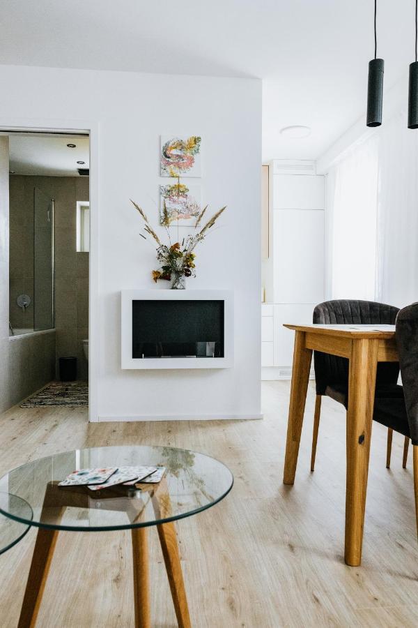 U Zlate Brizy Krusne Hory - Erzgebirge Apartment Horní Blatná Екстериор снимка
